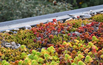 the cost of Houndsmoor green roof installation