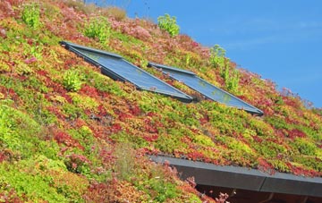 Houndsmoor living roof systems