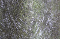 Houndsmoor fibreglass roof work